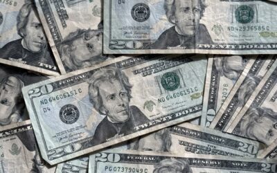 Watchdog: Hold accountable taxpayer-funded Florida nonprofit engaged in politics